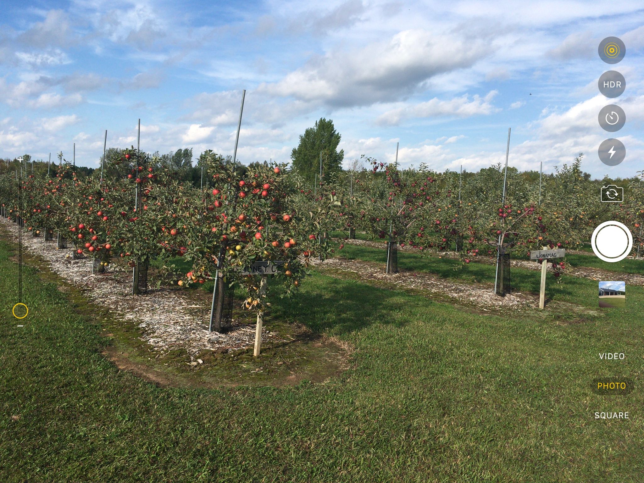 Ponderosa Pines Orchard LLC