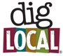 Dig Local Member Info