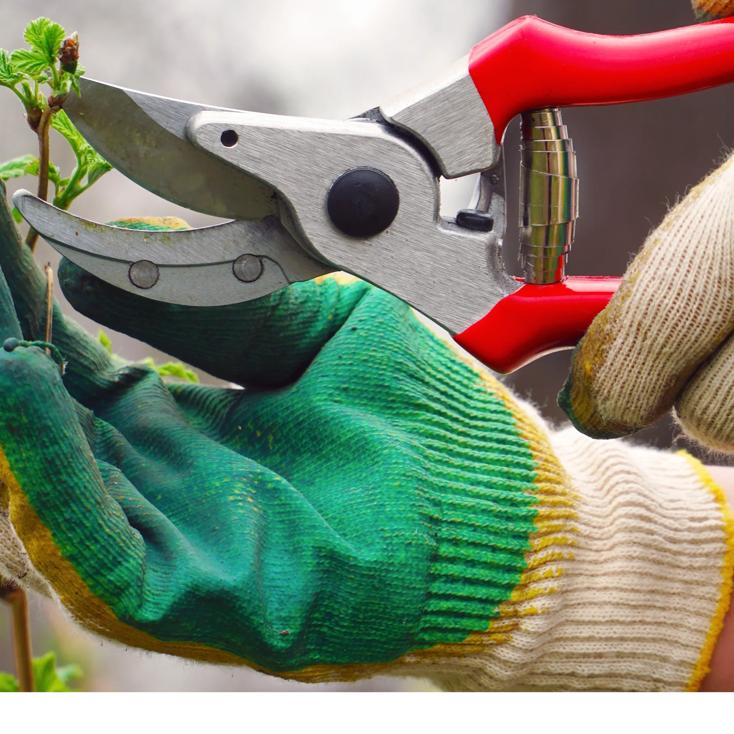 GARDENSMART LANDSCAPE logo
