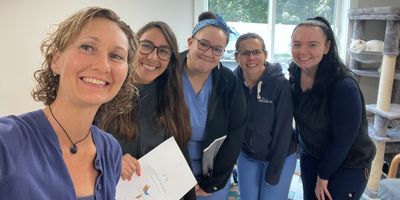 Wellness Training Workshop