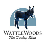 Wattlewoods Wee Donkeys