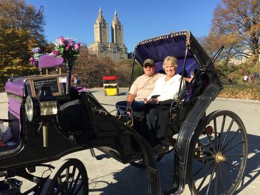 Happy couple taking house and carriage ride in NYC Central Park