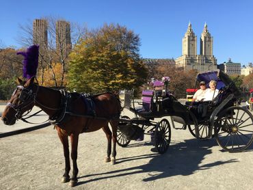 Happy couple taking house and carriage ride in NYC Central Park