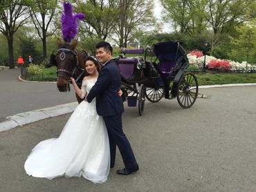 Marriage in NYC Central Park with Troy Carriages