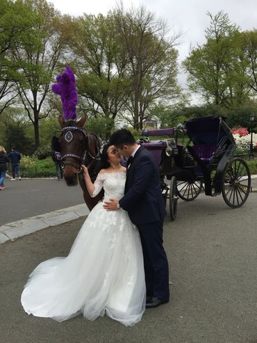 Marriage in NYC Central Park with Troy Carriages