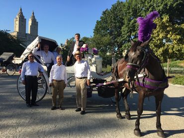 Group and driver next to Horse and Carriage