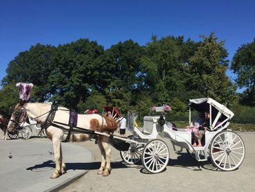 Happy couple takes a ride with Troy Carriages