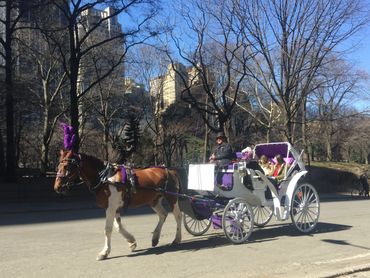 Happy customers take a ride with Troy Carriages