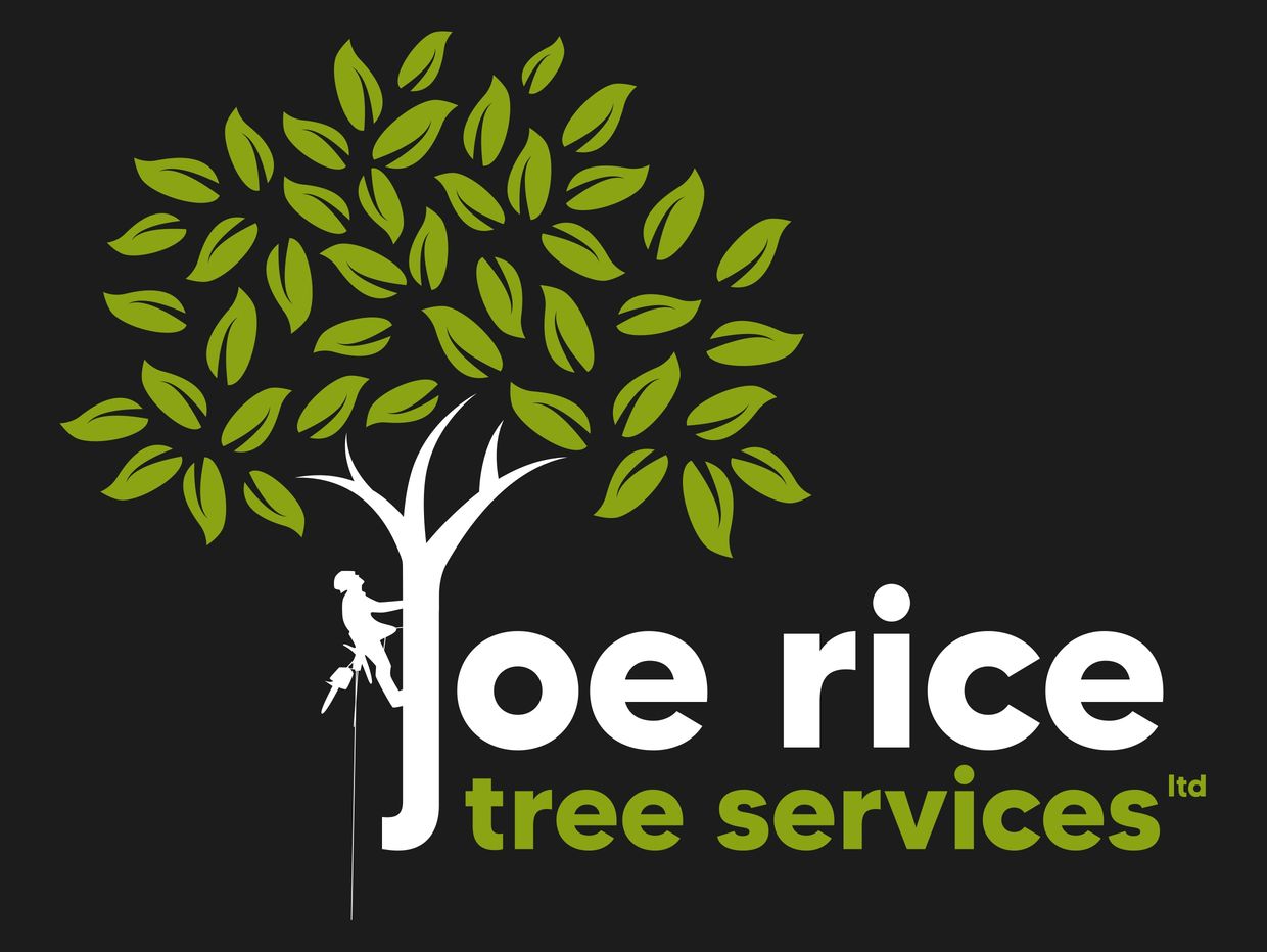 Derby Tree Surgeon, Nottingham Tree Surgeon, Derby Tree Services, Nottingham Tree Services,Tree Work