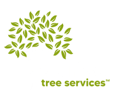 Joe Rice Tree Services