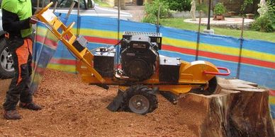 Tree stump grinding and removal Nottingham and Derby