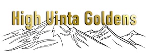 High Uinta Goldens