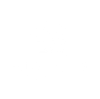 Hibiscus Design