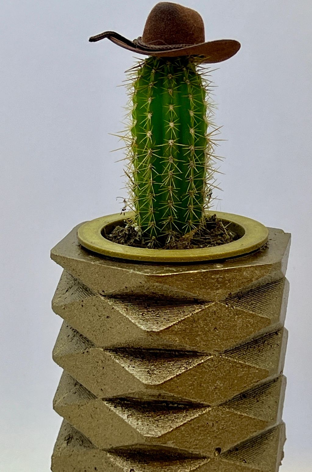 Image of a modern shaped vase with a cactus wearing a hat