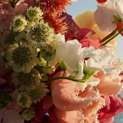 Close-up of vibrant red and yellow flowers.