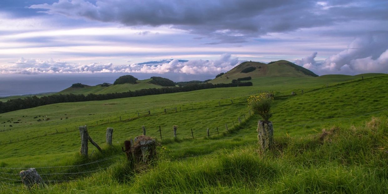 Waimea service area