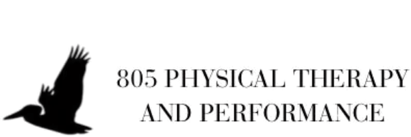 805 PHYSICAL THERAPY 
AND PERFORMANCE 