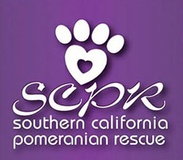 Southern California Pomeranian Rescue