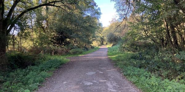 Walk And Talk Therapy at Bookham Common