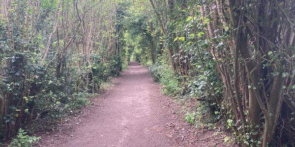 Walk And Talk Therapy at Norbury Park