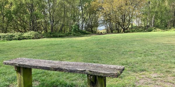 Walk And Talk Therapy at  Headley Heath