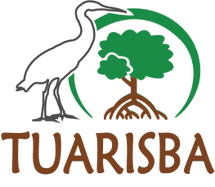 Agencia de viajes Tours Baru