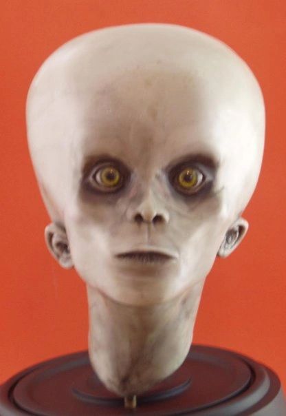 Model of an alien head with large eyes and an elongated skull.