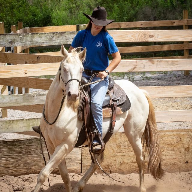 Rider correcting a horse's behavior under saddle