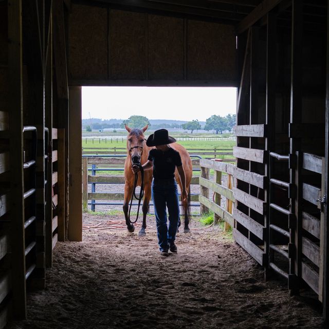 Boarding facility at CB Horsemanship