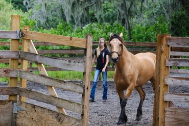 Round pen work