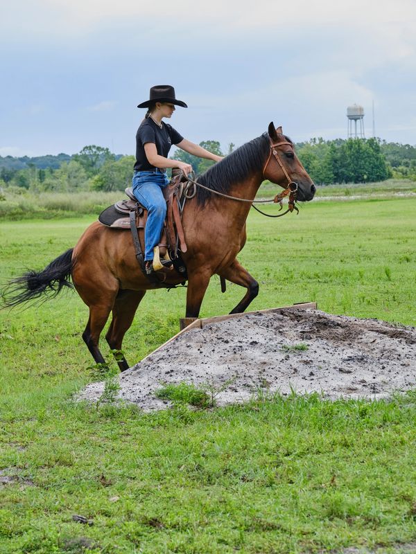 Chris Boyer working with a horse