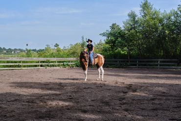 Pasture