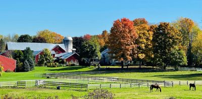 Amity Farm Events