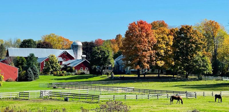 Amity Farm Events