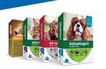 Boxes of Advantage flea medication