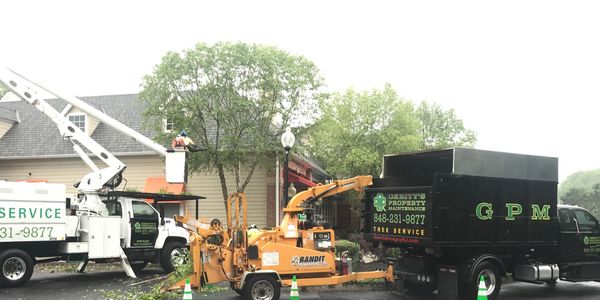 Tree trimming, pruning  on one of our commercial property’s we service.