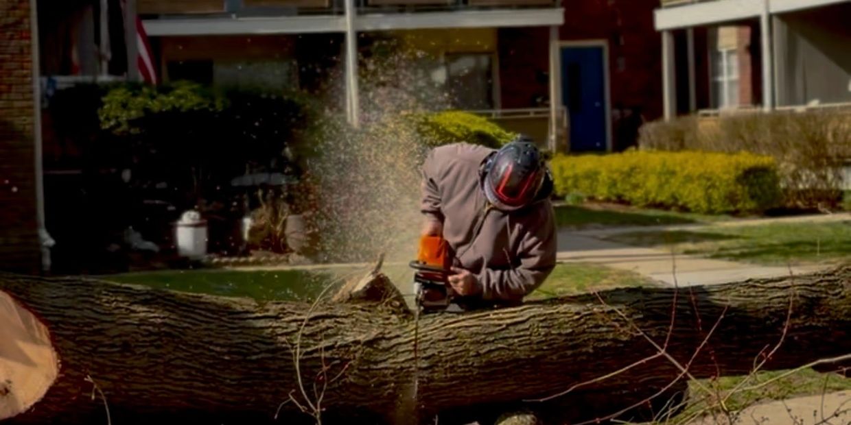 Person cutting a large tree trunk with a chainsaw.