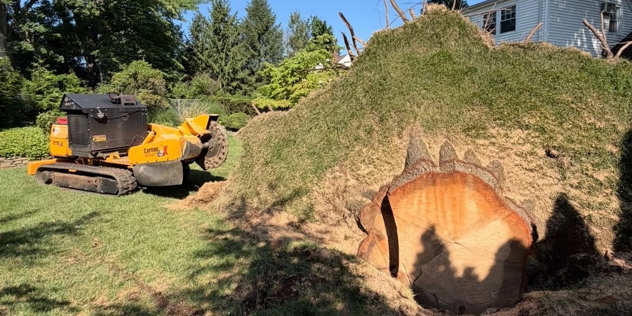 Large tree stump with machinery in a backyard.