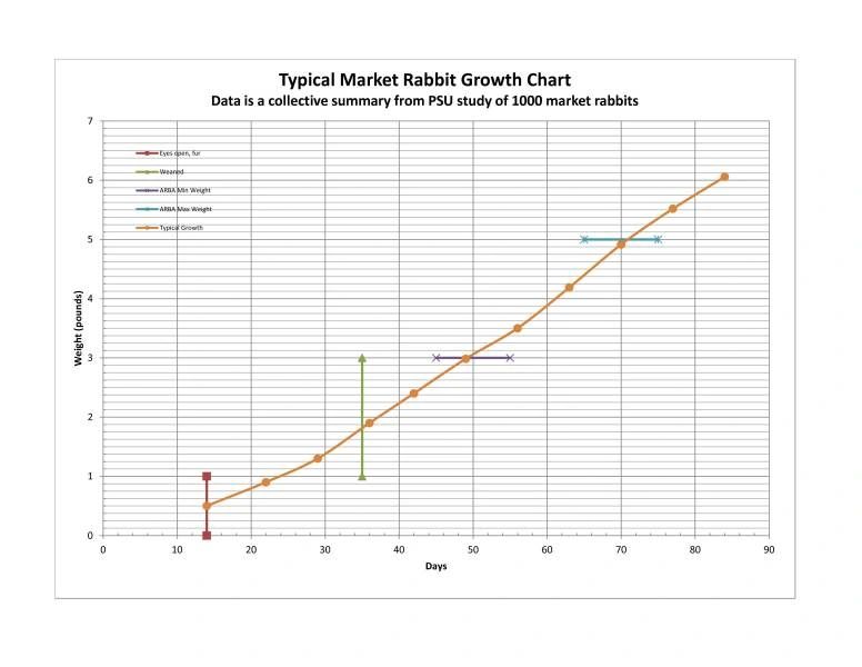 rabbit-growth