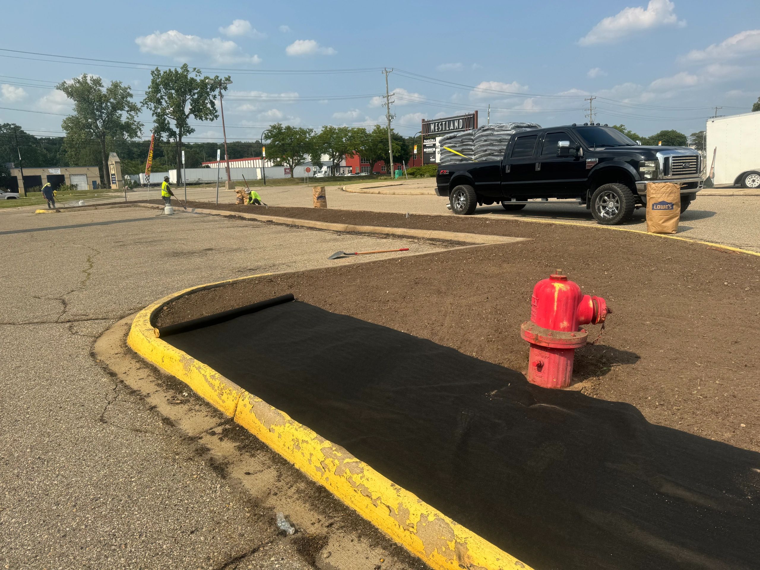 Parking Lot cleanup and restoration of the grass medians and trees