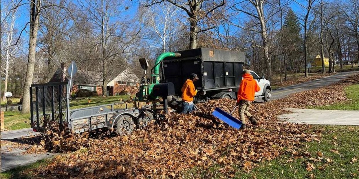 Fall Cleanup and leaf removal. 