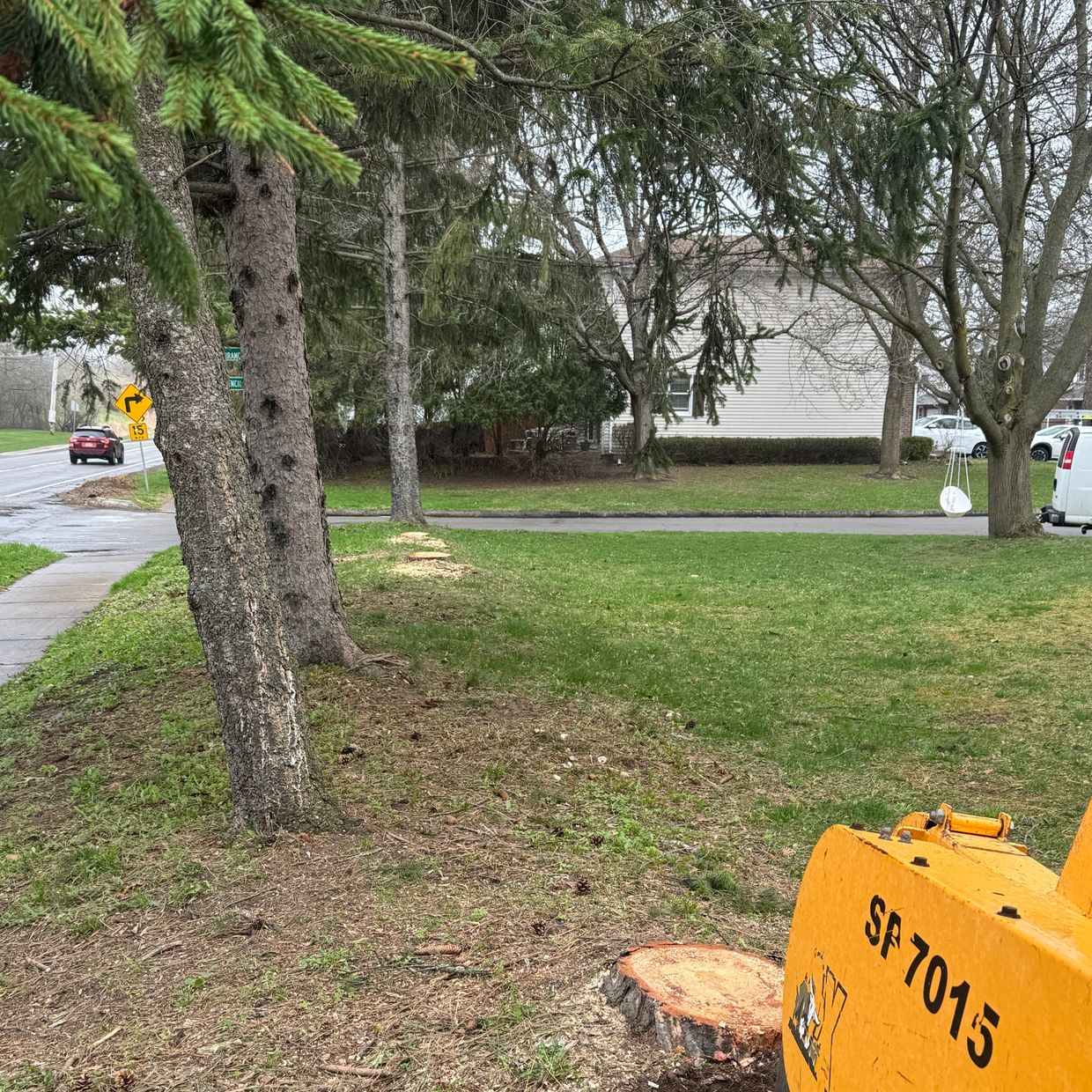 Stump removal in Brighton, NY