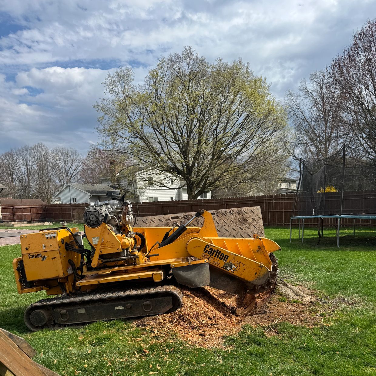 New Lawn Ready in Penfield! We just finished grinding two large stumps at this Penfield 