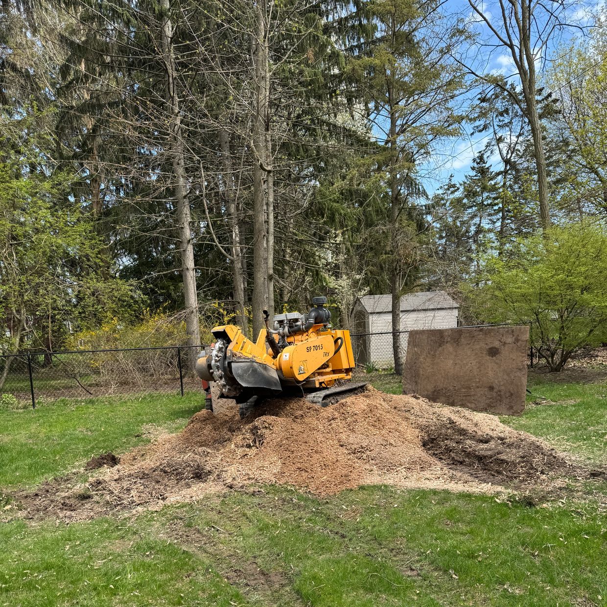 Carlton 7015 finishing up a large oak stump in Webster NY
