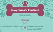 Teacup Yorkies In Texas Ranch