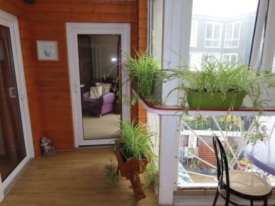 A cozy balcony with green plants and a purple armchair inside.