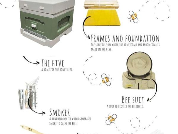 The simple starter kit is an inexpensive introduction into beekeeping.
