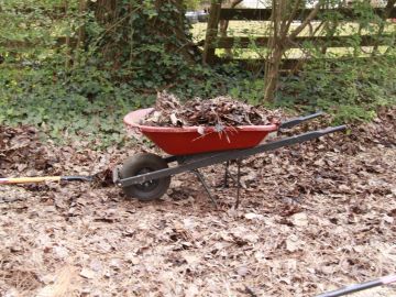 A red wheelbarrow filled with dried leaves in a garden.