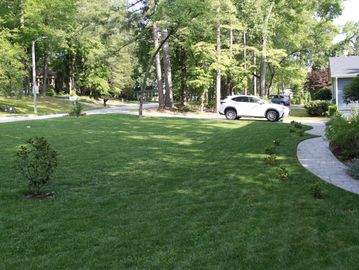 A well-maintained residential front yard with green grass and a white car.