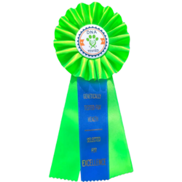 dna canine rosette award ribbon